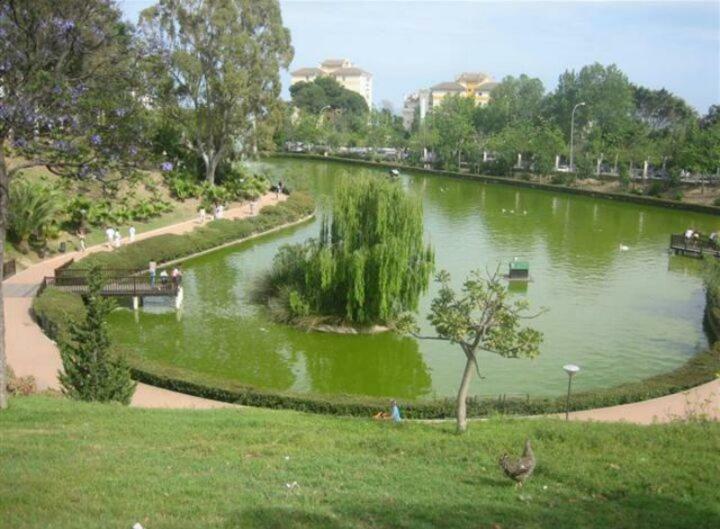 Estudio Sagitario Benalmádena Esterno foto